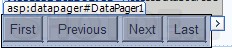 ASP.NET(vb.net) & DataPager - asp:DataPager
